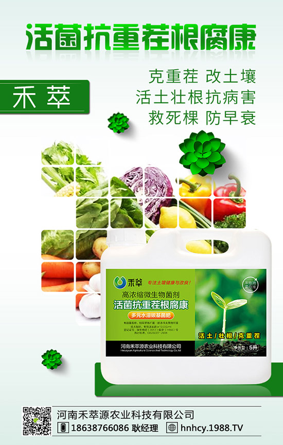 ����÷��ô�޽�������÷�޽ӷ�����