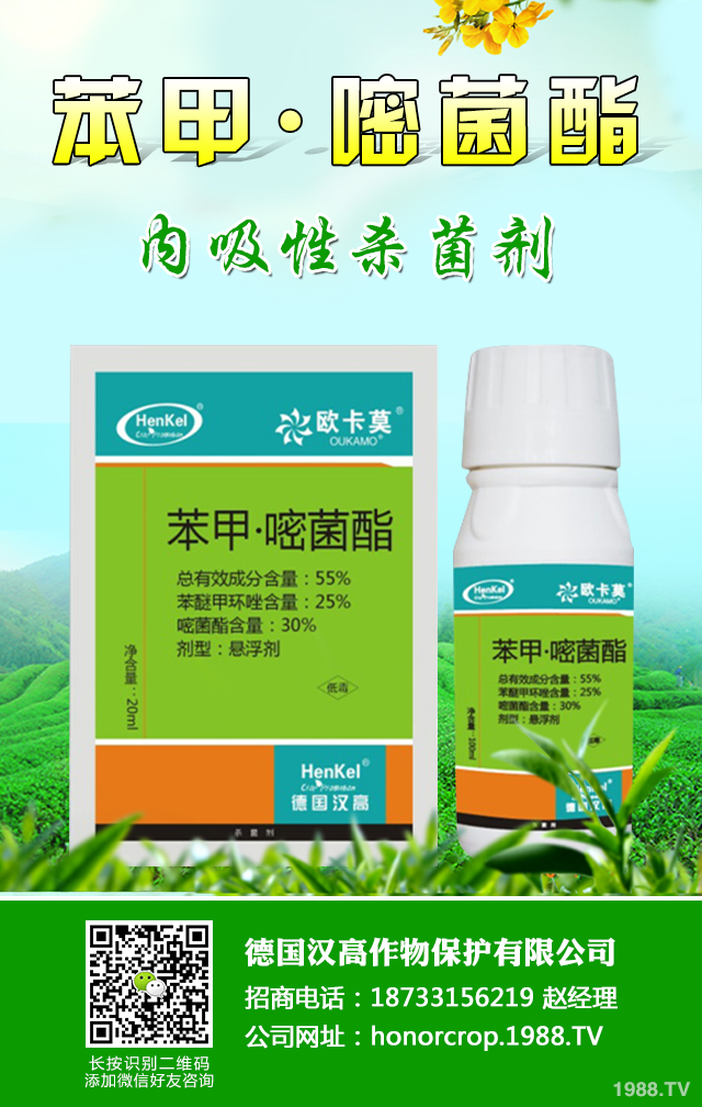 ���[˪ù����ô�k�����[˪ù�����μ���