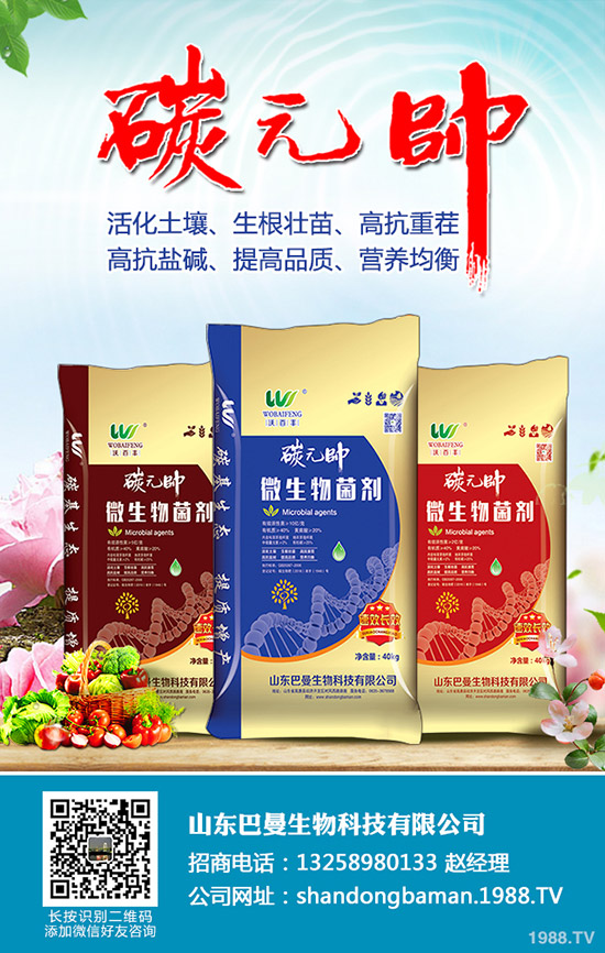     ������ں�������������@�r�������߄ݷ���2019-9-16