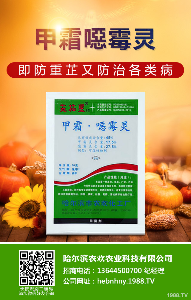 ��Щ������ɣ����P����ɣ����P�����μ���