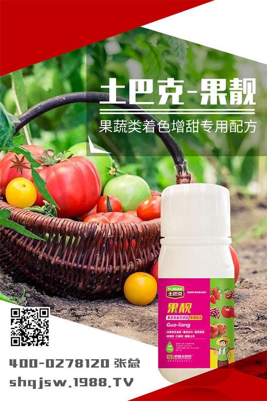 南瓜種植時間是什么時候?南瓜的播種方法及栽培技術(shù)!