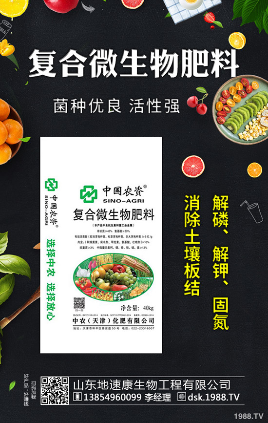 秋芹菜什么時(shí)間定植合適?秋芹菜種植時(shí)間及種植技術(shù)!