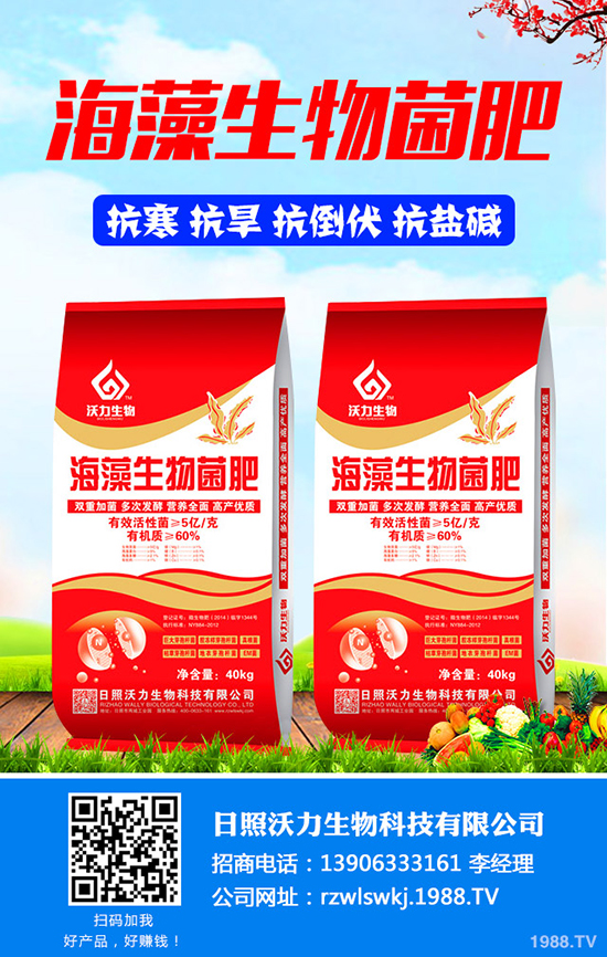 今日一銨二銨價格日報及最新磷銨企業(yè)出廠價2019年9月2日