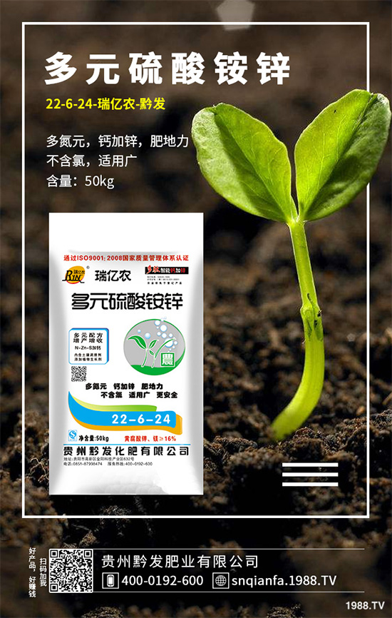 萵苣該如何育苗?萵苣苗期管理技術(shù)要點