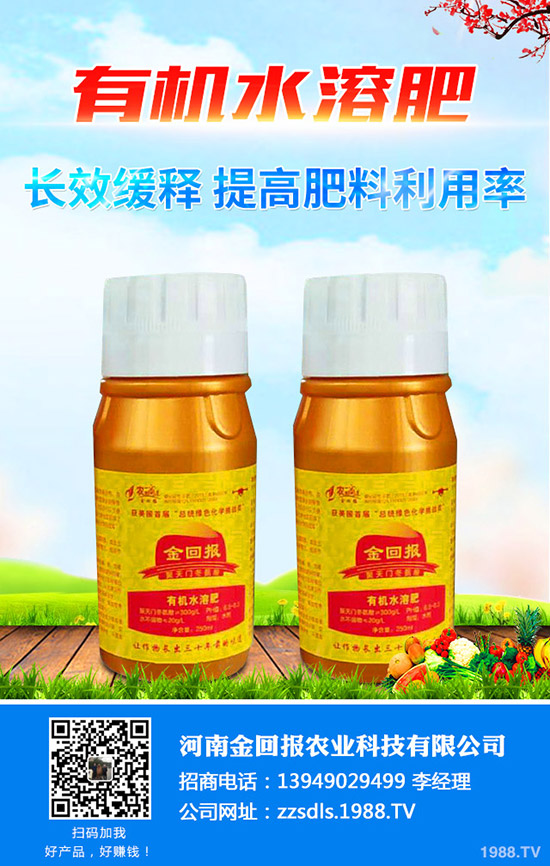 河南金回報(bào)農(nóng)業(yè)科技有限公司-(3)