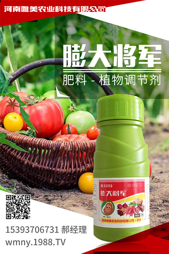 �＾���ҵĹ����(n��i)�ݣ��＾�����߲˷Nֲע�������