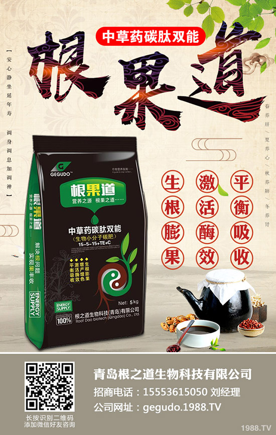     ʮ���r����֪����10���r�°�������ʲô�Nֲ����ע�������