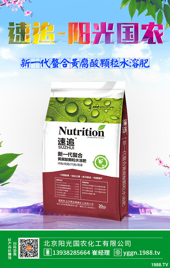 今日最新復合肥市場價格行情走勢預(yù)測早訊: