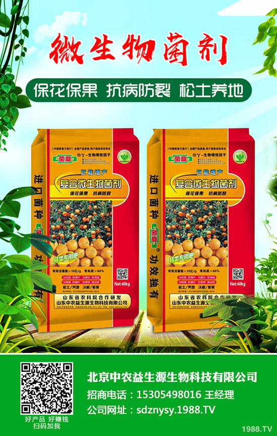 今日最新二銨價(jià)格行情走勢(shì)預(yù)測(cè)早訊