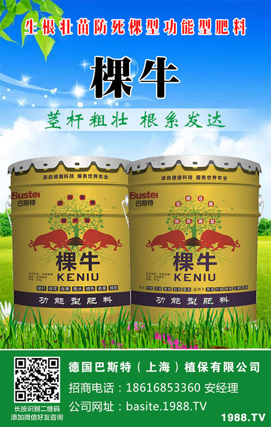 ���[���ʩ�������[�ƌW������ʩ�ʷ�����