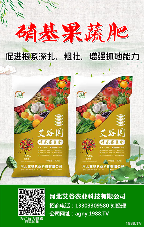 茼蒿該怎么吃?茼蒿的營(yíng)養(yǎng)吃法及注意事項(xiàng)