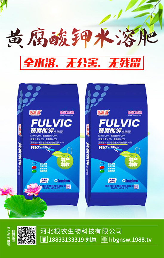 茼蒿該怎么吃?茼蒿的營(yíng)養(yǎng)吃法及注意事項(xiàng)