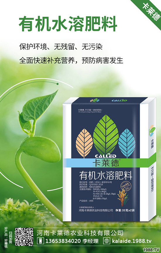 �G�}�L��̫�L��ô�k���G�}���޼���������Щ��