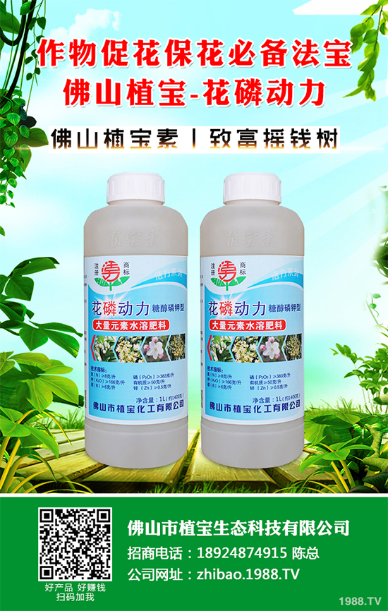 茼蒿葉斑病危害這么大,到底該如何防治?茼蒿葉斑病防治措施
