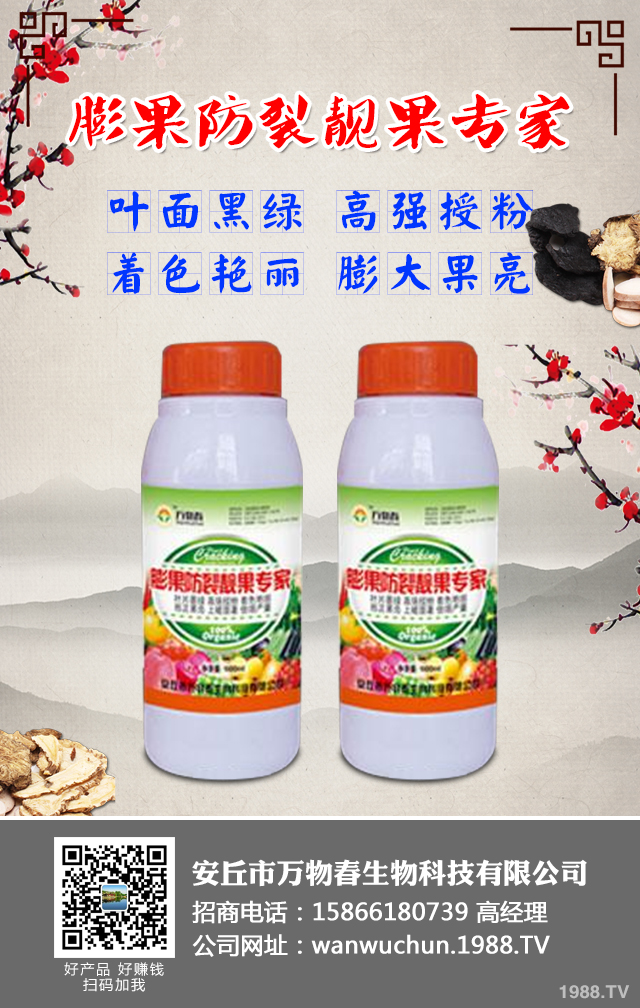 ����A(y��)����ݮ��������ݮ���η��μ���