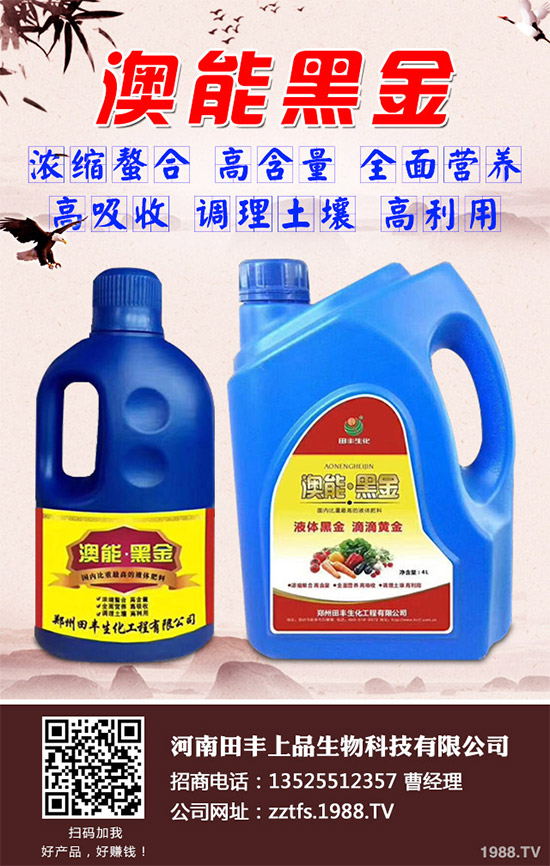 ���Ĳ�����Щ�I(y��ng)�B(y��ng)�r(ji��)ֵ���Ծ��Ĳ�����Щ��̎������Գ�������