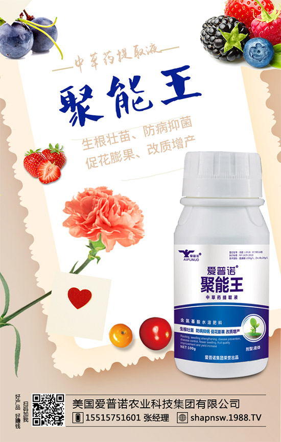 桑葚的功效與作用,孕婦吃桑葚有什么好處?