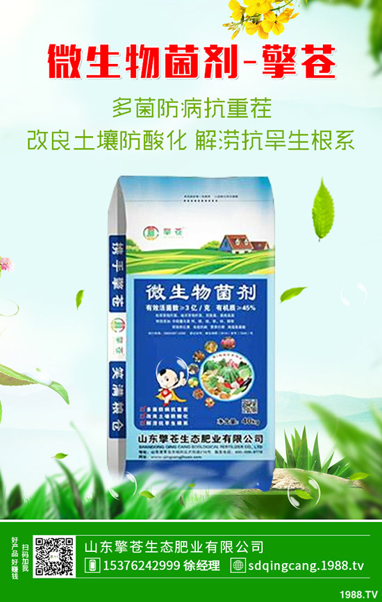 部分廠家尿素價格上漲!2020年1月10日各地區(qū)尿素主流出廠報價!