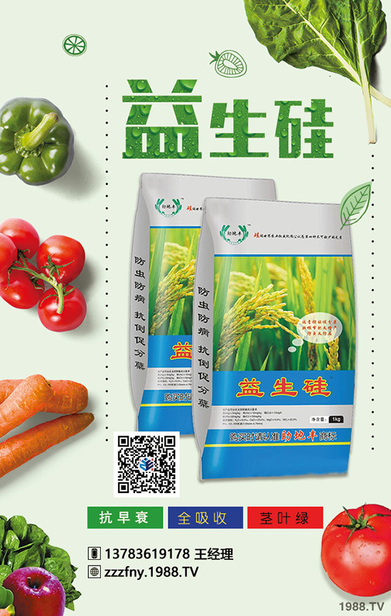 �J����ʩ���������}�Ľ�Q������ֵ���ղأ�