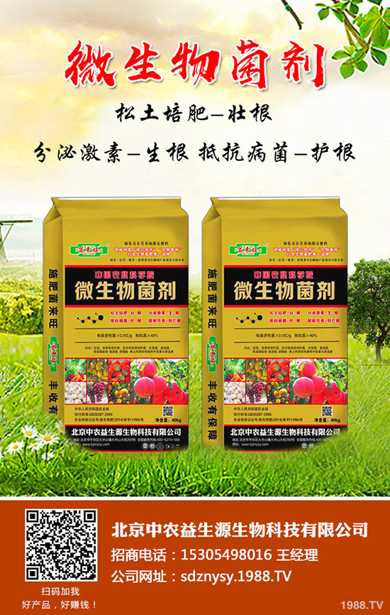 冬季小麥到底是年前澆水還是年后小麥澆水!有什么注意事項!