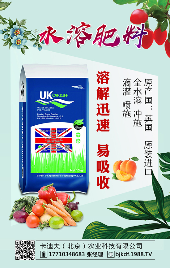 黃花菜要怎么種植?黃花菜對環(huán)境條件的要求!