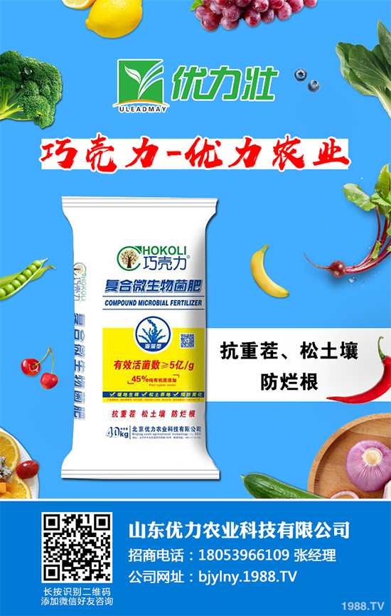 �۲�ܛ������(l��i)�u������ԓ��η��Σ��۲�ܛ������Σ���c����