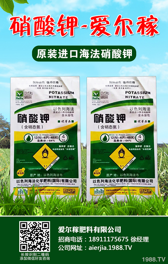 �����J�S��(du��)���w����Щ��̎���J�S�Ĺ�Ч���ü��I(y��ng)�B(y��ng)�r(ji��)ֵ