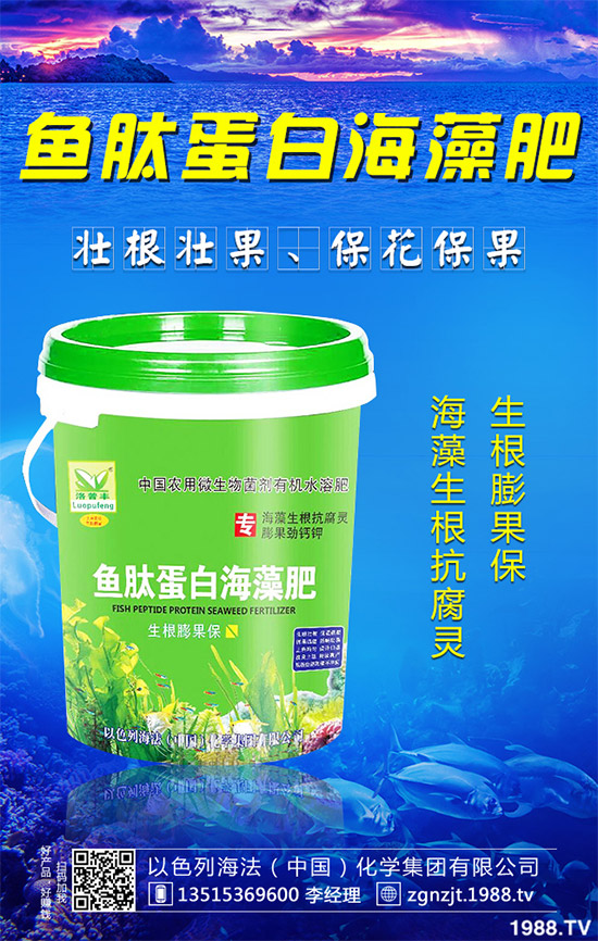 芹菜病毒病有哪些危害?該如何防治?芹菜病毒病的危害與防治