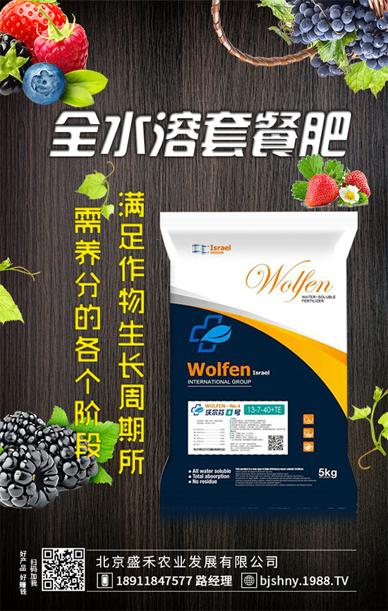 葫蘆種植時間是什么時候?葫蘆高產種植方法!