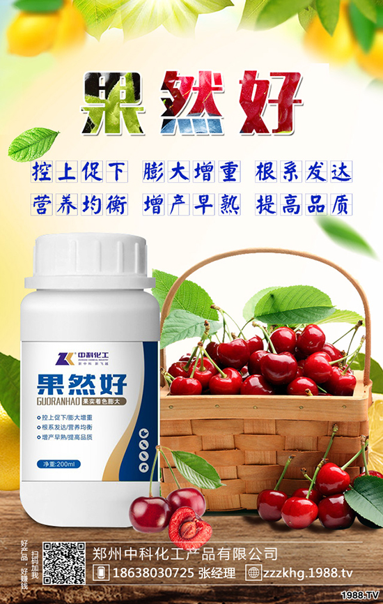 �O����Ę������Щ�Y�����O����Ę��ԭ�򼰷�����