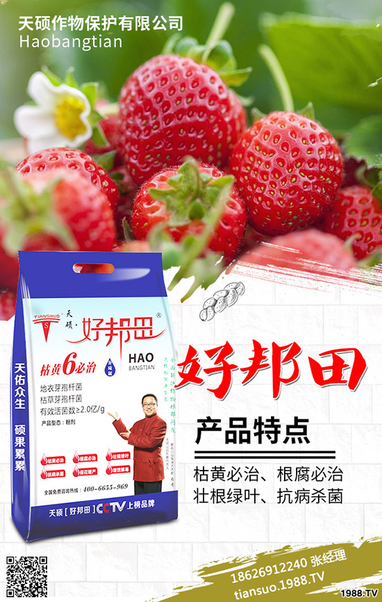 2020年農(nóng)村種植什么水果賺錢(qián)?哪些種果樹(shù)品種比較好?