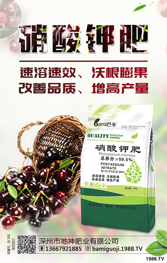 �t������r(sh��)�g��ʲô�r(sh��)�򣿼t�����緽������Щ��