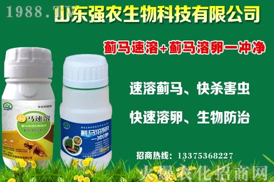 �ﶬ11�·Nֲʲô�߲˱��^���m���߲˷Nֲע�����(xi��ng)��