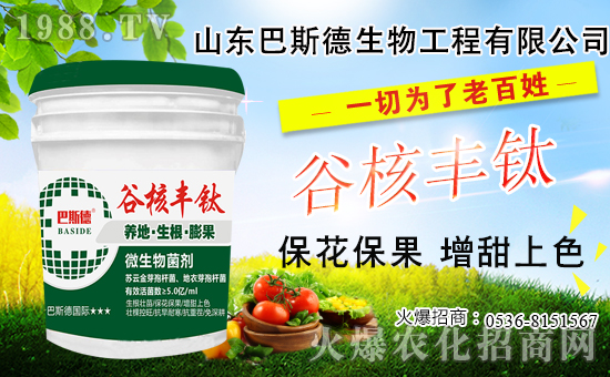 ���䶬���޼�ʲô�r����ѣ������޼���������Щ��