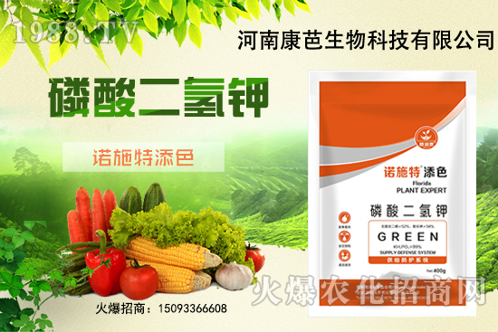 �������￹�����������⛼����������������8����