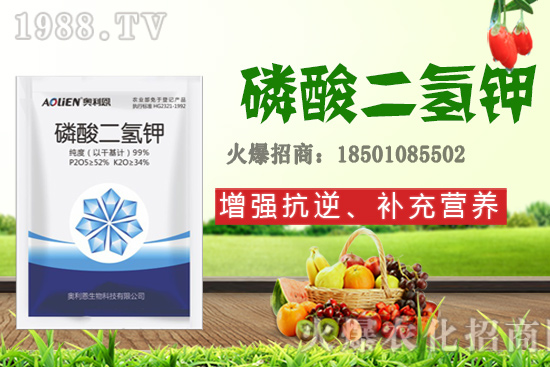 �����Ѿ���+�|̦�أ��������⛣���ʲô������