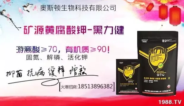 ����ʲô�r�g���N��ע���������Щ�����ش���Nֲ�r�g����