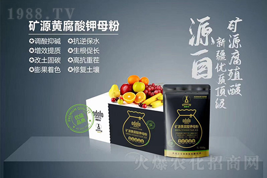 ʲô���߲��亦�����������￹��������