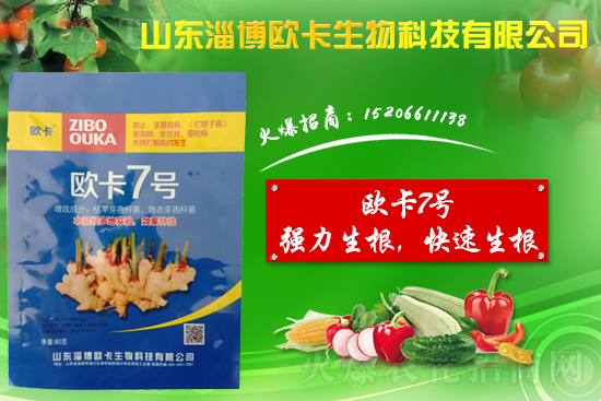 �󽪠����Ӳ���ʲô�����󽪠����Ӳ���ʲôˎ�÷���