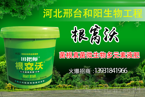 ��Щ��������������������ȡʲô��ʩ���Է�����