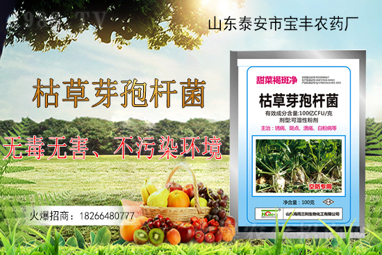 枯草芽孢桿菌能解決作物哪些問(wèn)題?枯草芽孢桿菌在農(nóng)作物上的應(yīng)用!