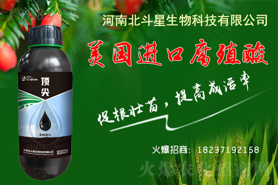 �ؗ͜l����������Nֲ��������������B(y��ng)�����o��