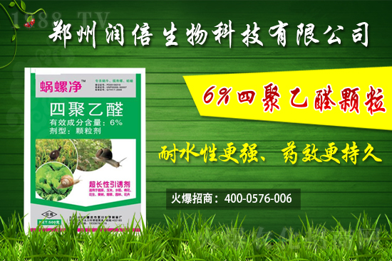 四聚乙醛產(chǎn)品特點(diǎn)及作用機(jī)理有哪些?四聚乙醛防治蔬菜蝸牛怎樣使用?