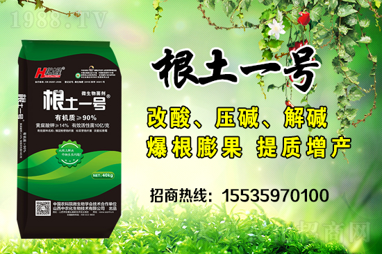     ΢��������е�΢������ʲô������΢�����������θ��������ģ�