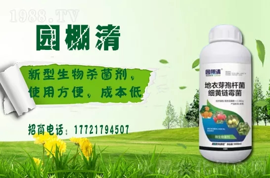 �������⛶�����Ч���Æ᣿���������������ֲ�￹����������