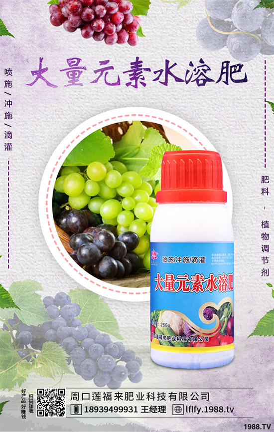 �Q��ԓ��ô�N���Q���ķNֲ���g(sh��)����������Ҫ�c