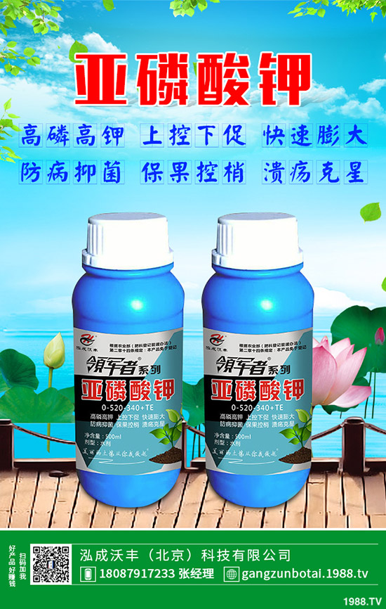 �ЙC(j��)�߲��c�o(w��)�����߲˵ą^(q��)�e���o(w��)�����߲���η��x(ch��ng)��