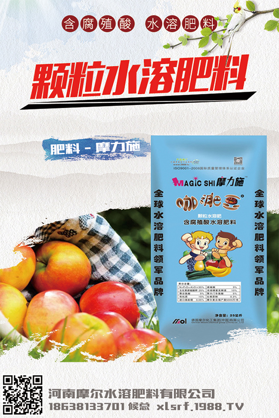 種植白術(shù)掙錢(qián)嗎?2020白術(shù)種植前景及效益分析