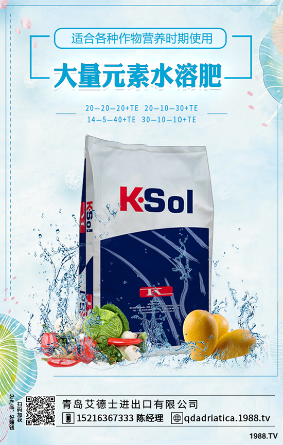 大棚西紅柿該如何種植?春季西紅柿種植管理技術