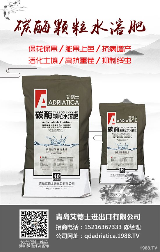 大棚西紅柿該如何種植?春季西紅柿種植管理技術